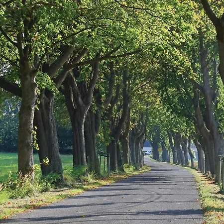 31 Prázdninový dům *